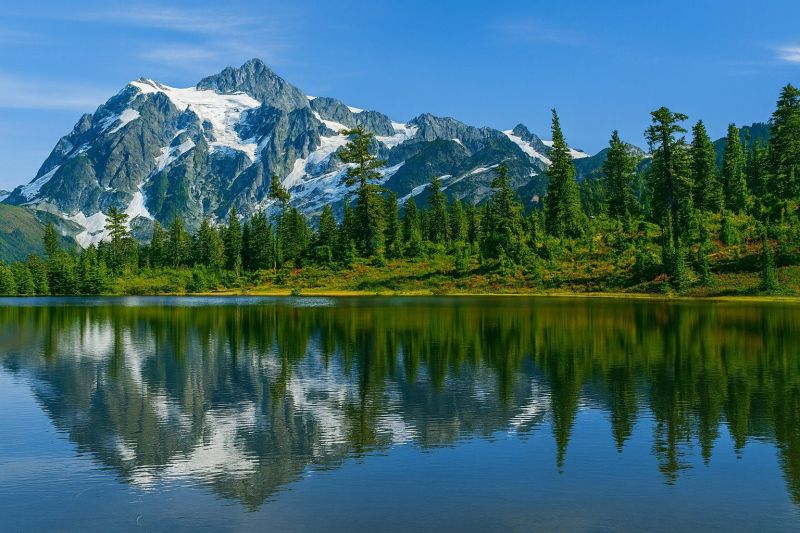 Hero for Home Services Options